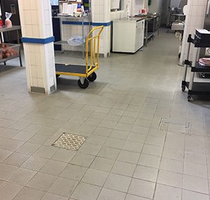 royal hospital flooring