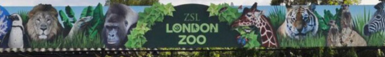 London Zoo - Robex Contracting Case Study